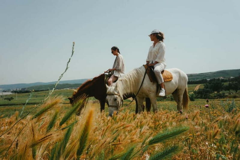 Tbilisi: Horseback Riding Experience - Who Will Love This Tour?