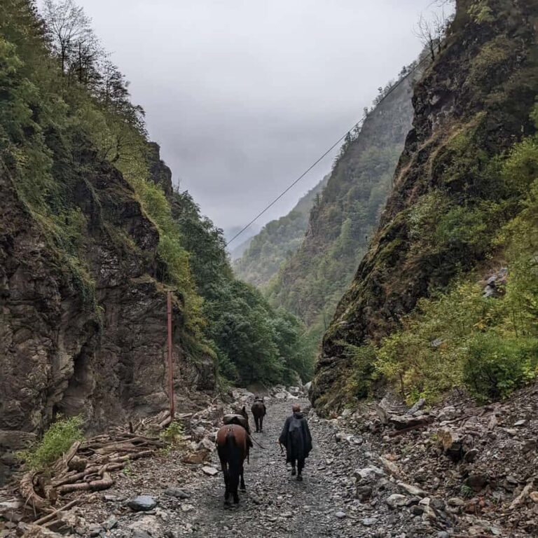 Tbilisi: Pankisi Gorge Horse Riding Tour with Dinner - An In-Depth Look at the Experience