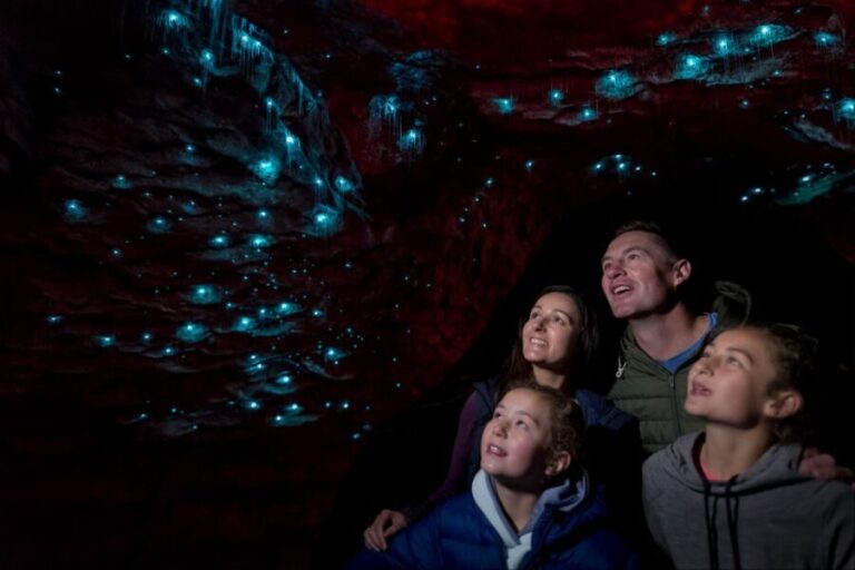 Te Anau: Glowworm Caves Guided Tour - The Itinerary: From Lake to Luminous Darkness