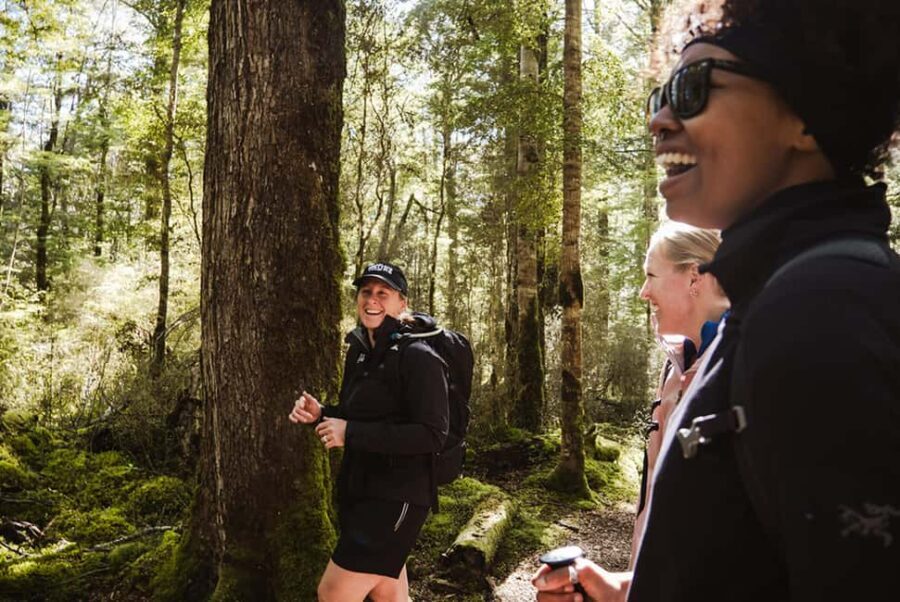 Te Anau: Jet Boat Ride & Kepler Track Guided Hike - Detailed Review: A Full Day of Adventure and Nature in Te Anau