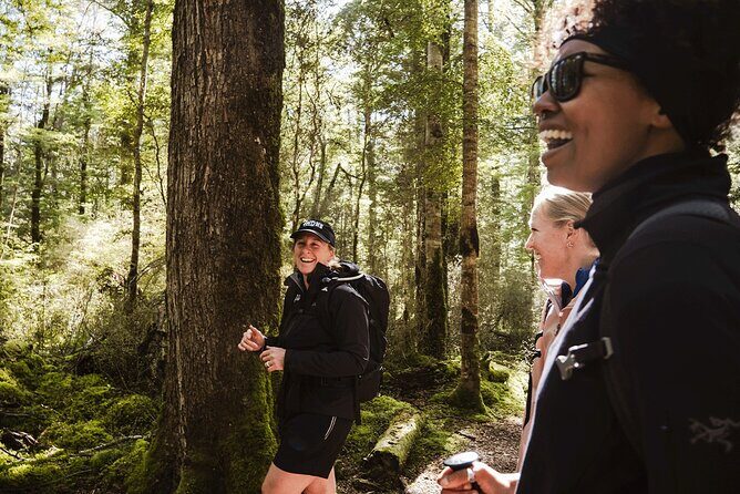 Te Anau Jetboat Experience, Kepler Guided Hike, Transport & Lunch - An In-Depth Look at the Tour