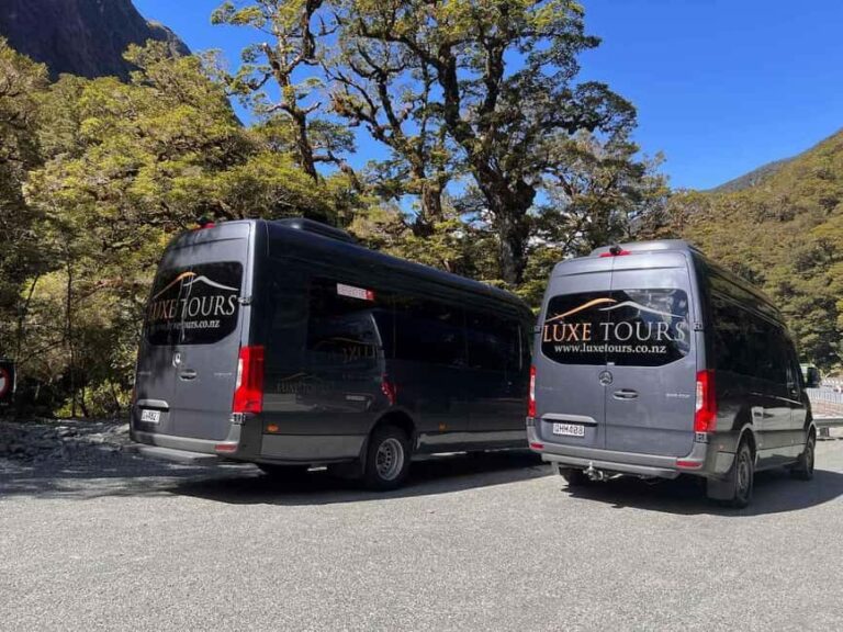 Te Anau: Premium Milford Sound Full Day Tour and Cruise - The Value of the Experience