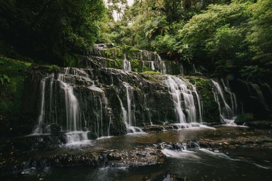 Te Anau to Dunedin via the Catlins & Invercargill 1 Way Tour - Practical Details & Conditions