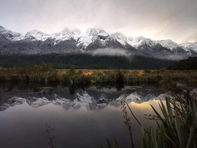 Te Anau to Queenstown inc Milford Sound Tour, Cruise & Lunch - Exploring the Full Day: What You’ll Experience