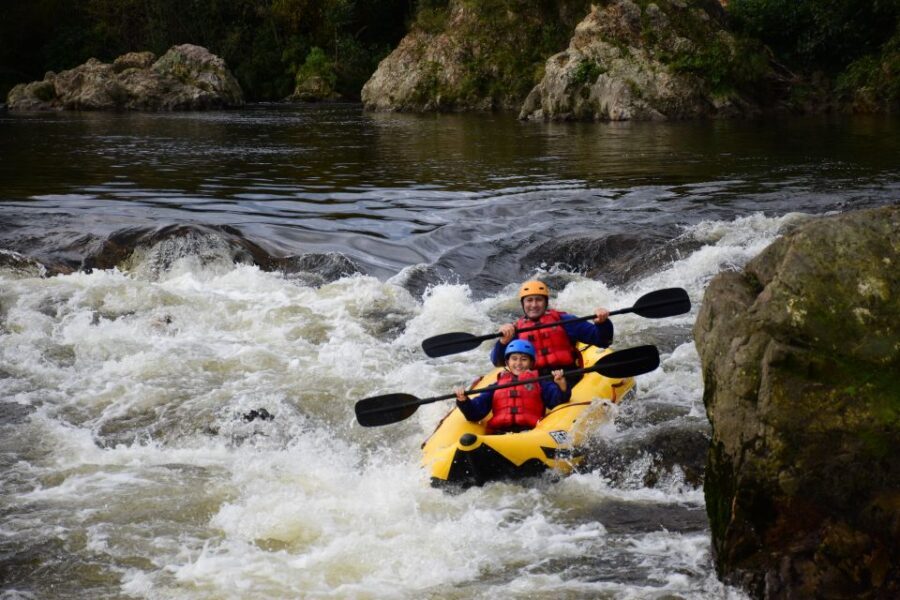 Te Awa Kairangi Grade 2 Scenic Duckie Tour - A Detailed Look at the Te Awa Kairangi Duckie Tour
