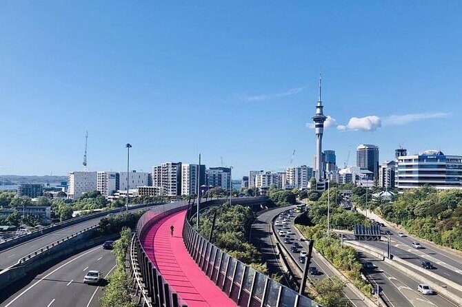Te Puia And Redwood Park Day Trip Transport From Auckland - What Makes This Tour Stand Out?
