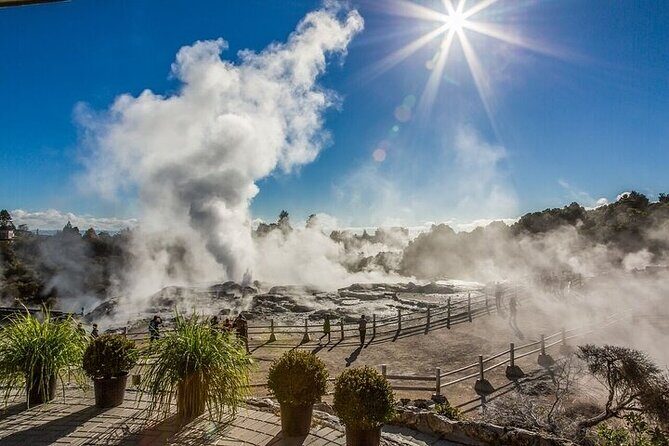 Te Puia Geothermal Valley - Rotorua - A Detailed Look at the Tour Experience