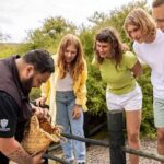 Te Puia: Tuku Iho Trail - Value and Practicalities
