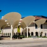 Tea Around Town Austin: Elegant Tea Bus Tour and Treats - An In-Depth Look at the Tour Experience