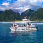 Teahupoo Olympic Wave Journey - FAQ