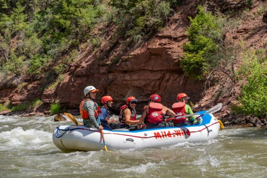 Telluride 1 Day Rafting Trip with Lunch - San Miguel River - What to Expect: A Closer Look at the Itinerary