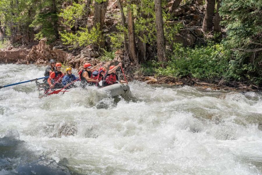 Telluride Morning Half Day Rafting Trip - San Miguel River - FAQs About the Telluride Morning Half Day Rafting Trip