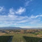 Temecula Valley: Sunrise Hot Air Balloon Ride with Champagne - Breaking Down the Experience