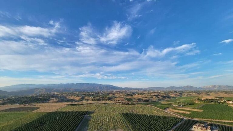Temecula Valley: Sunrise Hot Air Balloon Ride with Champagne - Breaking Down the Experience