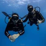 Tenerife - 2 Guided Dives for Certified Divers - Half Day - An In-Depth Review of the Tenerife Diving Experience