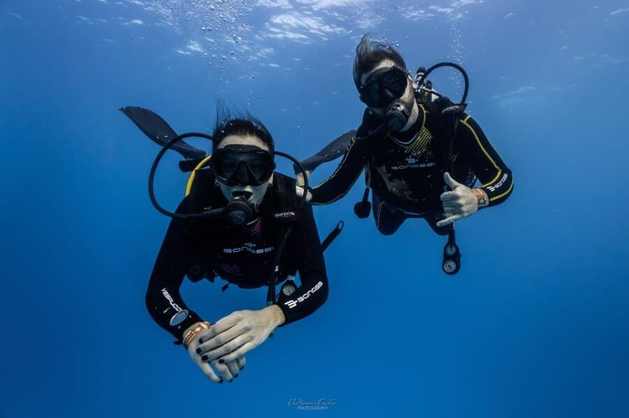 Tenerife - 2 Guided Dives for Certified Divers - Half Day - An In-Depth Review of the Tenerife Diving Experience