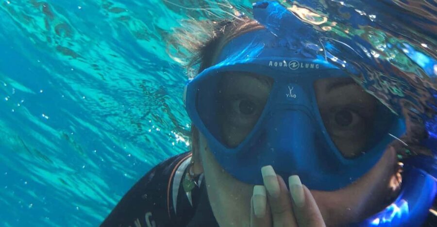 Tenerife: Alcalá Guided Snorkeling Tour - Why This Tour Represents Good Value