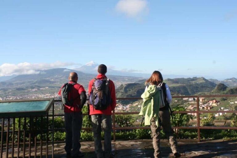 Tenerife: Anaga and La Laguna VIP Tour - Who Would Love This Tour?