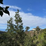 Tenerife: Canary History and Color Potatoes - Who Should Sign Up?