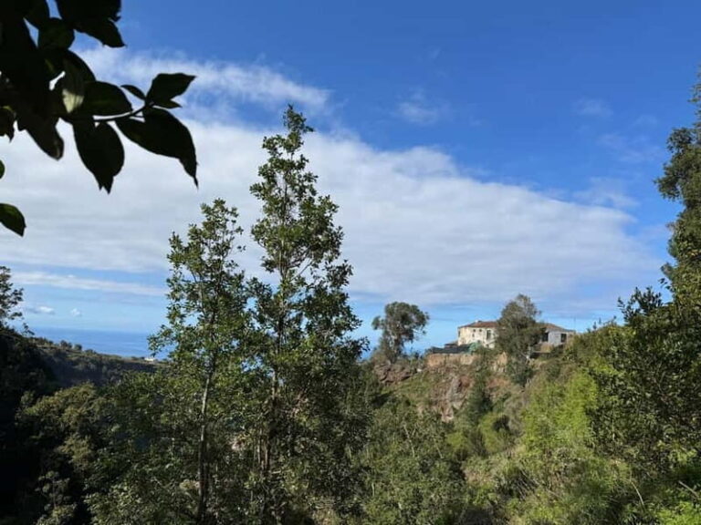 Tenerife: Canary History and Color Potatoes - Who Should Sign Up?