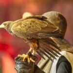 Tenerife: Castillo San Miguel Medieval Show and Banquet - Discovering the Medieval Atmosphere in Tenerife