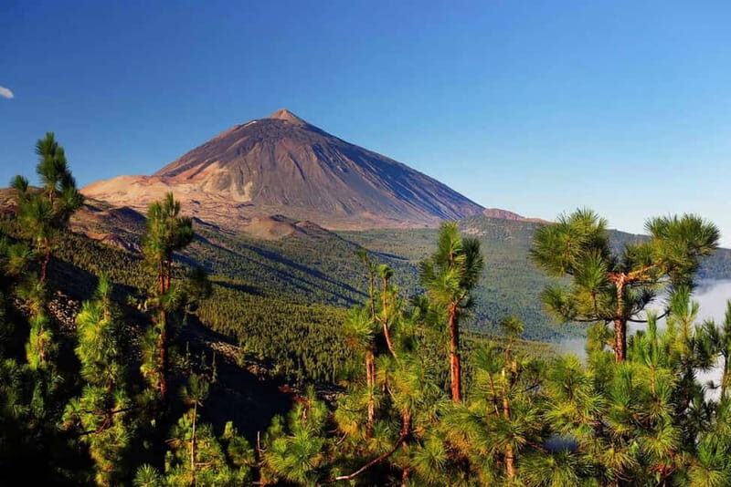 Tenerife: Combo Jet Ski & Quad Experience - Details of the Itinerary