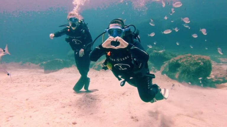 Tenerife - Discover Scuba Diving Experience with Instructor - Introduction to the Experience