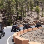Tenerife: FAMILY 4SEATS- Morning or Sunset Teide Buggy tour - A Detailed Look at the Tenerife Buggy Tour Experience