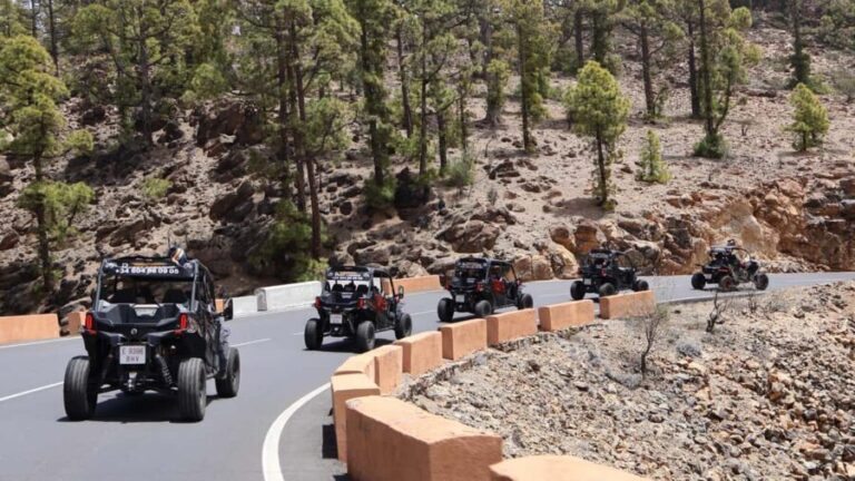 Tenerife: FAMILY 4SEATS- Morning or Sunset Teide Buggy tour - A Detailed Look at the Tenerife Buggy Tour Experience