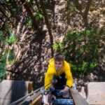 Tenerife: Forestal Park Tenerife Entry Ticket - In-Depth Review of the Forestal Park Tenerife Experience