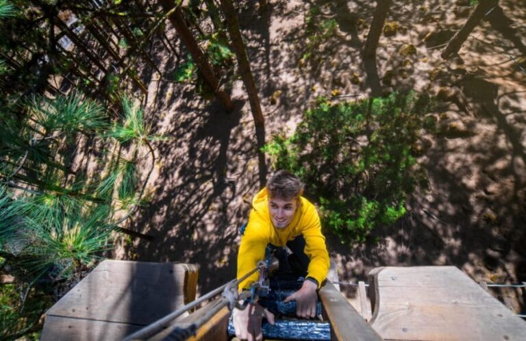 Tenerife: Forestal Park Tenerife Entry Ticket - In-Depth Review of the Forestal Park Tenerife Experience