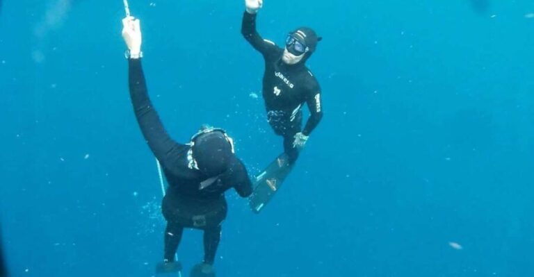 Tenerife: Freediving Discovery Course - Who Is This Experience Best For?