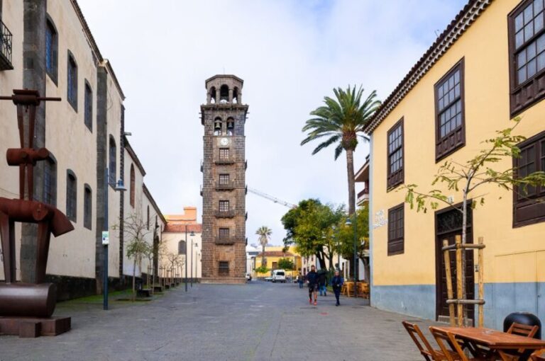 Tenerife: Full-Day Gastronomy and Wine Tour - Who Would Enjoy This Tour?