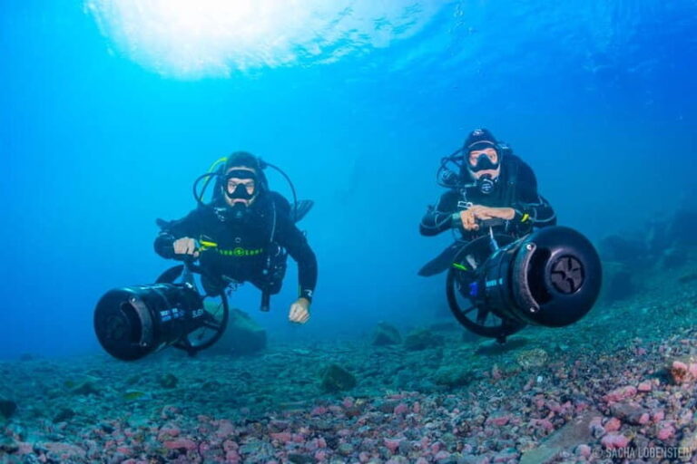 Tenerife: Guided Dive and Scooter Experience - Who Is This Tour Best For?