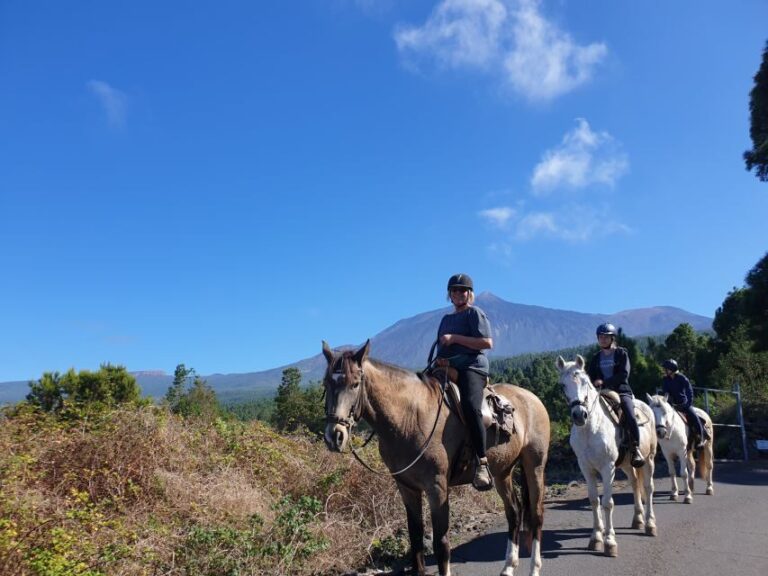 Tenerife: Guided Horseback Riding Tour to the Lomo Forest - Final Thoughts