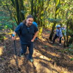 Tenerife: Hike Above Masca in Enchanted Forest with Pick-up - A Detailed Look at the Experience