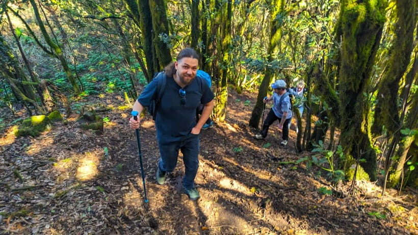 Tenerife: Hike Above Masca in Enchanted Forest with Pick-up - A Detailed Look at the Experience