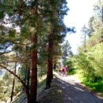 Tenerife: Hiking Above the Village of Masca - The Sum Up