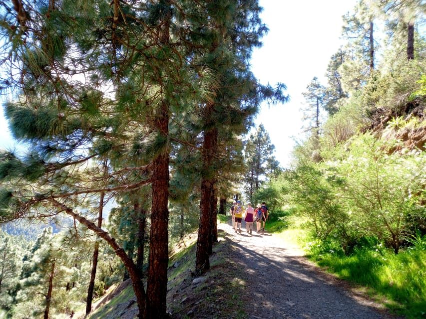 Tenerife: Hiking Above the Village of Masca - The Sum Up