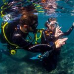 Tenerife: Introductory Dive for Cruise Ship Passengers - What Travelers Say