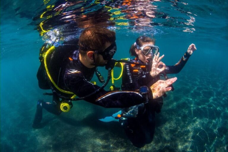 Tenerife: Introductory Dive for Cruise Ship Passengers - What Travelers Say