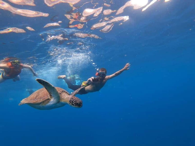 Tenerife: Kayak Sea Safari with Snorkel and Snacks - A Deep Dive into the Tenerife Kayak Sea Safari Experience