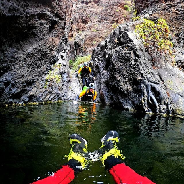 Tenerife: Los Carrizales Water Canyoning Tour - What’s Included and What’s Not