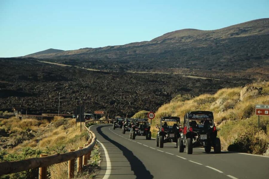 Tenerife: MORNING - 3H Buggy tour of Teide - Why This Tour Offers Great Value