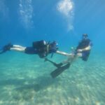 Tenerife: PADI Open Water Diver Course - Detailed Review of the Tenerife PADI Open Water Diver Course
