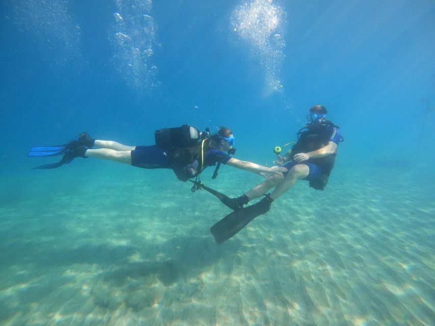 Tenerife: PADI Open Water Diver Course - Detailed Review of the Tenerife PADI Open Water Diver Course