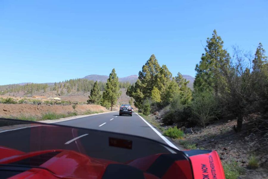 Tenerife: Pino Gordo Self-Drive Slingshot Tour - Why This Tour Stands Out