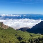 Tenerife Private Tour: Teide and Flavors of The North - Authentic Experiences and Authentic Flavors