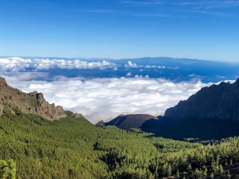 Tenerife Private Tour: Teide and Flavors of The North - Authentic Experiences and Authentic Flavors