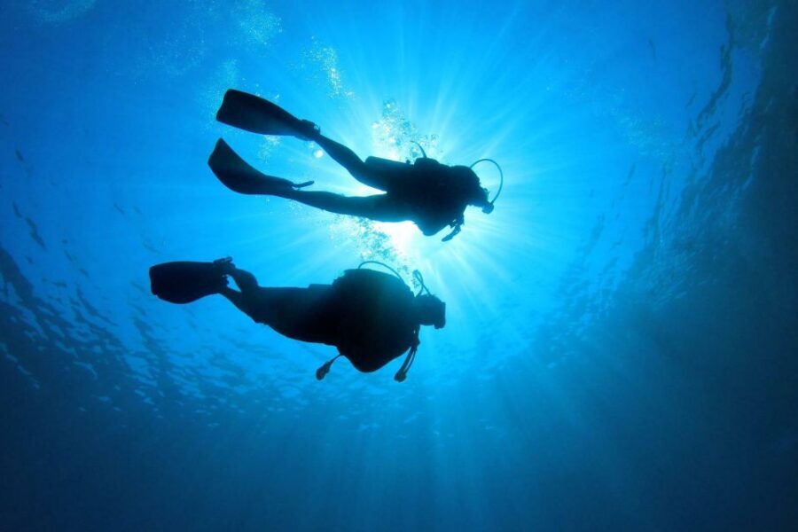 Tenerife: Scuba Diving Experience with Instructor and Gear - An Honest Look at the Tenerife Scuba Diving Experience